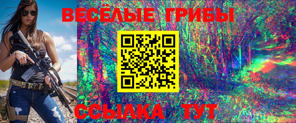 Энгельс  продажа наркотиков  Вход с VPN  Псилоцибиновые грибы Psilocybe  Галлюциногенные грибы прущие грибы 