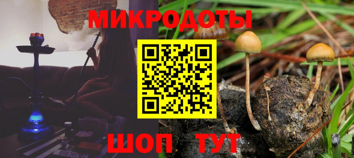 Галлюциногенные грибы MAGIC MUSHROOMS Энгельс